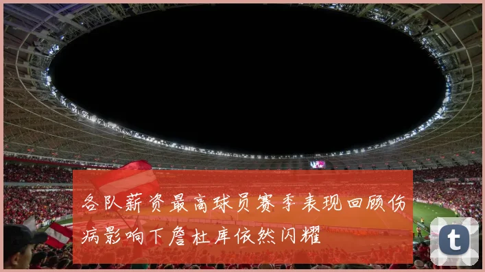 各队薪资最高球员赛季表现回顾伤病影响下詹杜库依然闪耀
